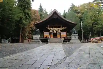 諏訪大社下社秋宮の本殿・本堂
