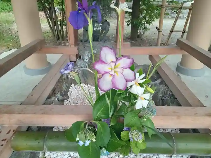 和泉國一之宮 大鳥大社(大阪府)