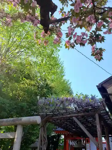 藤神稲荷神社(東京都)