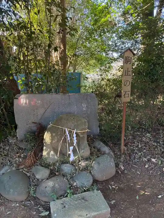星宮神社(茨城県)