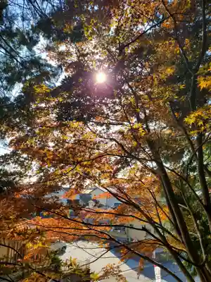 滑川神社 - 仕事と子どもの守り神(福島県)