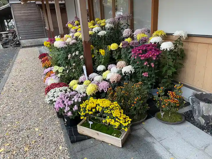 美奈宜神社の自然