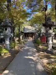 丸子山王日枝神社(神奈川県)