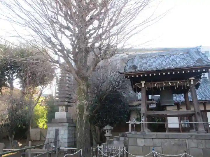 新井薬師(梅照院)(東京都)