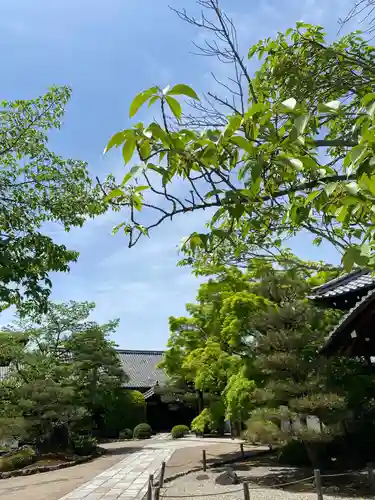 仁和寺の庭園