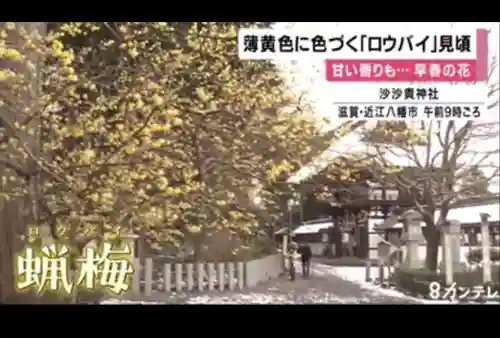 沙沙貴神社(滋賀県)