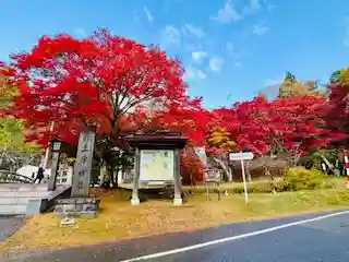 土津神社|こどもと出世の神さま(福島県)