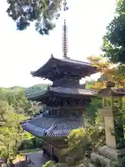 一乗寺の建物その他