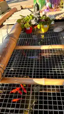 彌榮神社(大阪府)