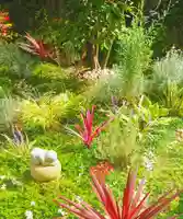 寿量山 速成寺の自然