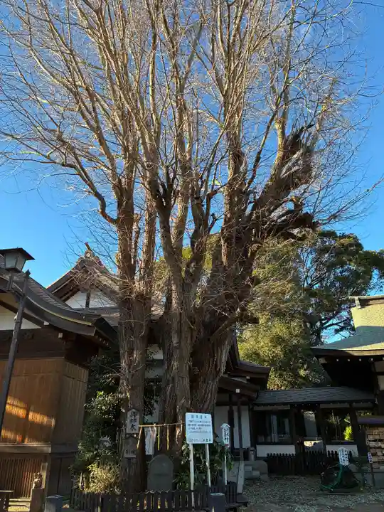 登渡神社(千葉県)