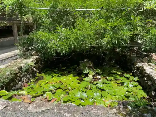 明石寺(愛媛県)