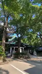 王子神社の自然