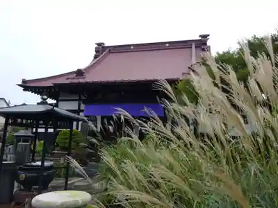 常泉寺の本殿・本堂