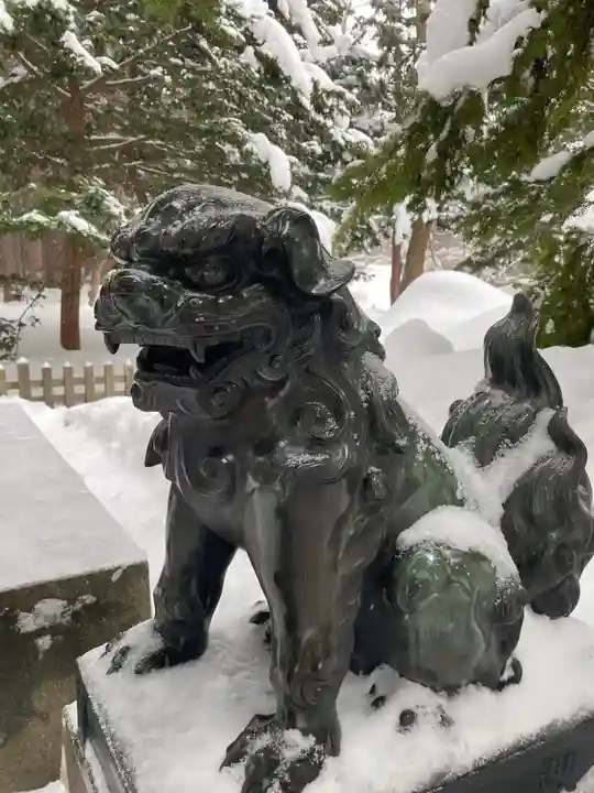 北海道神宮の狛犬
