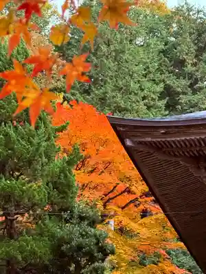 萬徳寺(福井県)