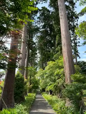 八幡宮(茨城県)