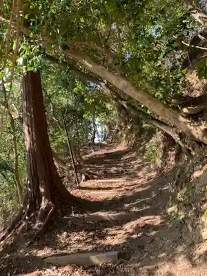 白山神社の周辺