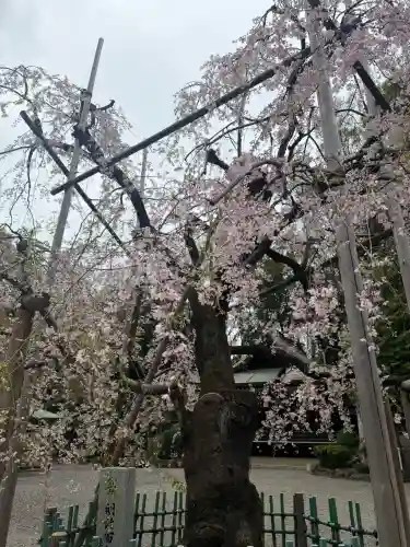 大國魂神社の{uncategorized: "未分類", other: "その他", undefined: "問題あり", building: "その他建物", grave: "お墓", sacred_gate: "鳥居", guardian: "狛犬", statue: "像", buddha: "仏像", history: "歴史", nature: "自然", garden: "庭園", animal: "動物", pagoda: "塔", temizu: "手水舎", mountain_gate: "山門・神門", sanctuary: "本殿・本堂", subordinate: "末社・摂社", art: "芸術", scenery: "景色", jizo: "地蔵", ema: "絵馬", goshuin: "御朱印", omikuji: "おみくじ", items: "授与品その他", amulet: "お守り", goshuincho: "御朱印帳", eats: "食事", festival: "お祭り", votive_dance: "神楽", shichigosan: "七五三参", wedding: "結婚式", experience: "体験その他", initially: "初詣", around: "周辺", anti_infection: "感染症対策"}