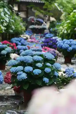 長谷寺(奈良県)