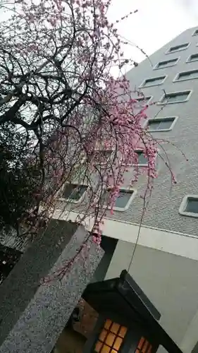 牛天神北野神社の自然