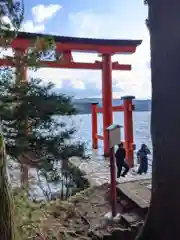 箱根神社の鳥居