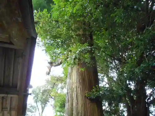 東霧島神社(宮崎県)