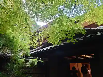 光明寺瑠璃光院(京都府)
