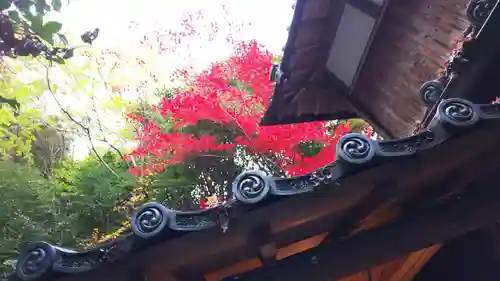 柳谷観音　楊谷寺のその他建物