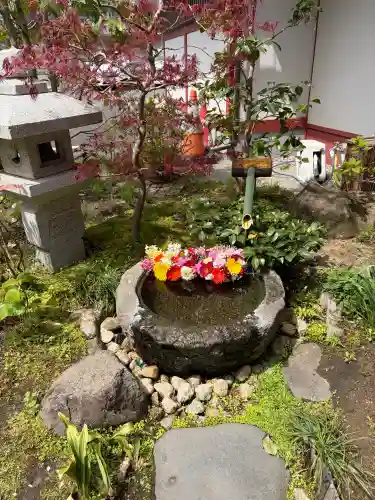 仙台大神宮の{uncategorized: "未分類", other: "その他", undefined: "問題あり", building: "その他建物", grave: "お墓", sacred_gate: "鳥居", guardian: "狛犬", statue: "像", buddha: "仏像", history: "歴史", nature: "自然", garden: "庭園", animal: "動物", pagoda: "塔", temizu: "手水舎", mountain_gate: "山門・神門", sanctuary: "本殿・本堂", subordinate: "末社・摂社", art: "芸術", scenery: "景色", jizo: "地蔵", ema: "絵馬", goshuin: "御朱印", omikuji: "おみくじ", items: "授与品その他", amulet: "お守り", goshuincho: "御朱印帳", eats: "食事", festival: "お祭り", votive_dance: "神楽", shichigosan: "七五三参", wedding: "結婚式", experience: "体験その他", initially: "初詣", around: "周辺", anti_infection: "感染症対策"}
