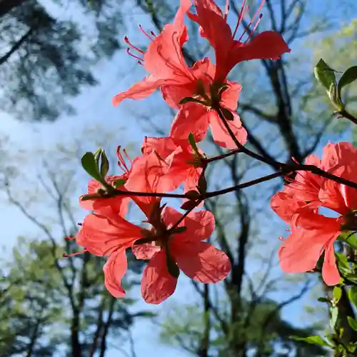 滑川神社 - 仕事と子どもの守り神の自然