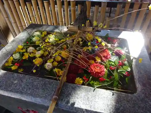 高円寺氷川神社の手水