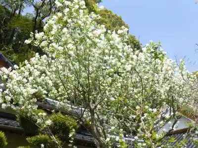 福仙寺(山口県)