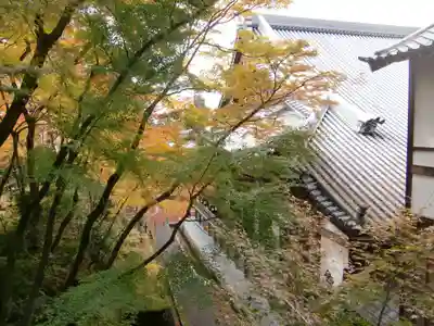 禅林寺(永観堂)(京都府)