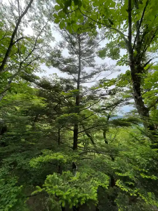 玉置神社(奈良県)
