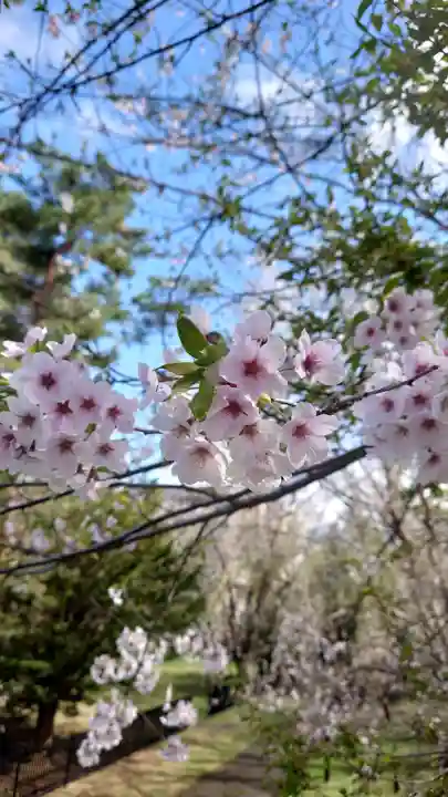 相馬神社(北海道)