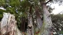 八坂神社(京都府)