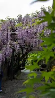 長岡天満宮(京都府)