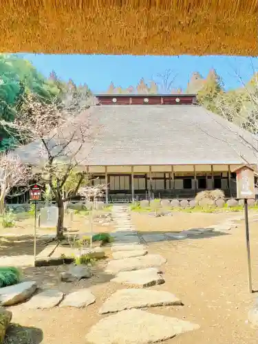 大雄寺の{uncategorized: "未分類", other: "その他", undefined: "問題あり", building: "その他建物", grave: "お墓", sacred_gate: "鳥居", guardian: "狛犬", statue: "像", buddha: "仏像", history: "歴史", nature: "自然", garden: "庭園", animal: "動物", pagoda: "塔", temizu: "手水舎", mountain_gate: "山門・神門", sanctuary: "本殿・本堂", subordinate: "末社・摂社", art: "芸術", scenery: "景色", jizo: "地蔵", ema: "絵馬", goshuin: "御朱印", omikuji: "おみくじ", items: "授与品その他", amulet: "お守り", goshuincho: "御朱印帳", eats: "食事", festival: "お祭り", votive_dance: "神楽", shichigosan: "七五三参", wedding: "結婚式", experience: "体験その他", initially: "初詣", around: "周辺", anti_infection: "感染症対策"}