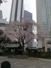 常圓寺の庭園