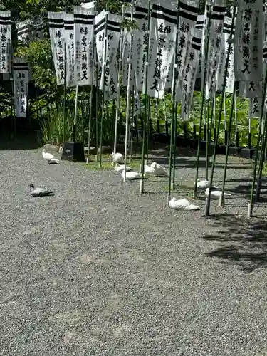 旗上弁財天社の動物