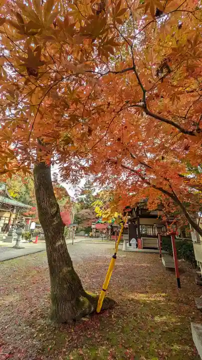 松ヶ崎大黒天 妙圓寺(妙円寺)(京都府)