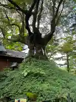 熊野皇大神社(長野県)