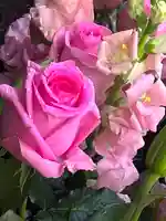 上尾御嶽神社の手水舎