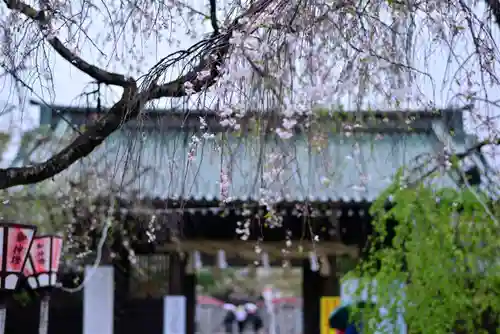 三嶋大社の自然