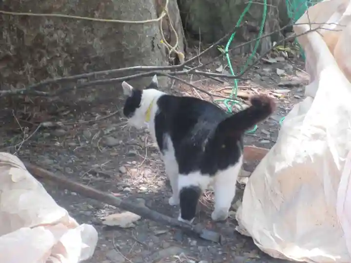 榛名神社の動物