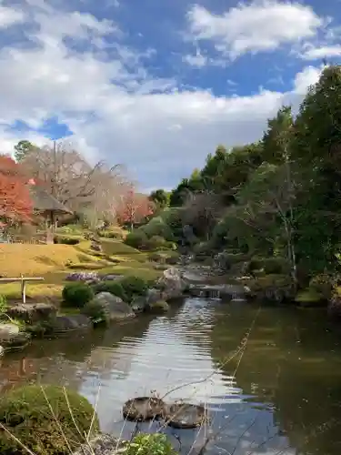 退蔵院の庭園