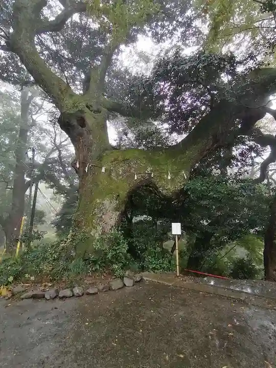 椎尾山薬王院のその他建物