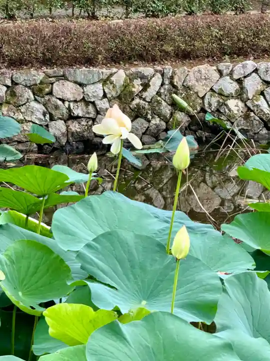 東福禅寺(東福寺)(京都府)