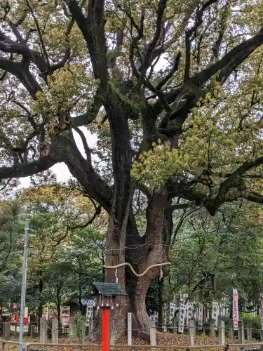 鳴海八幡宮(愛知県)